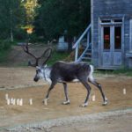 sites de rencontres dans le loiret